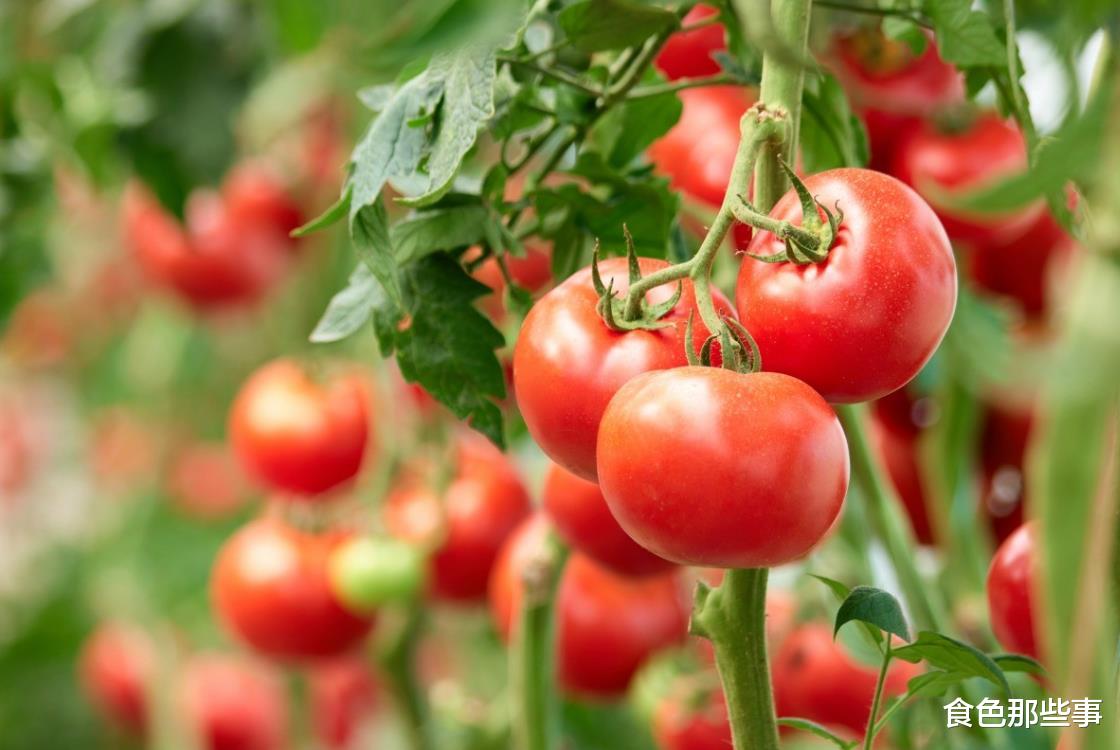 食材|希腊美食密码:盘点希腊人一生必吃的30种基本食材