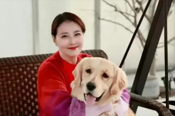 悲痛!急诊医生曝周海媚病情,发病照曝光,母亲一句留言令人泪目