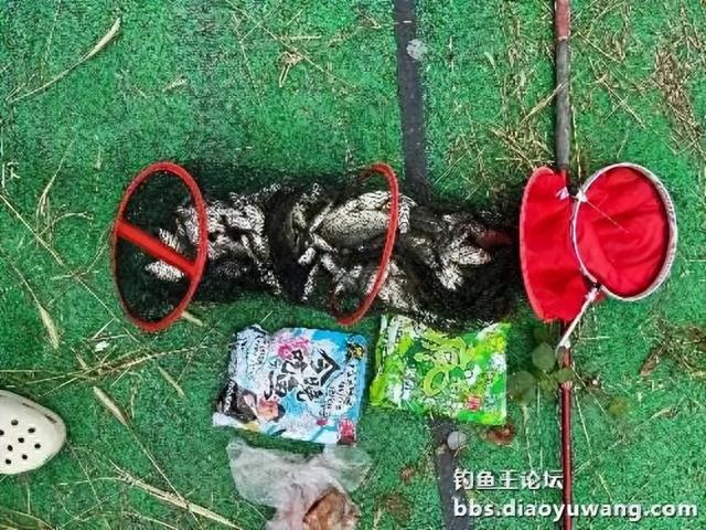 高温战黑坑,获奖鱼票50块