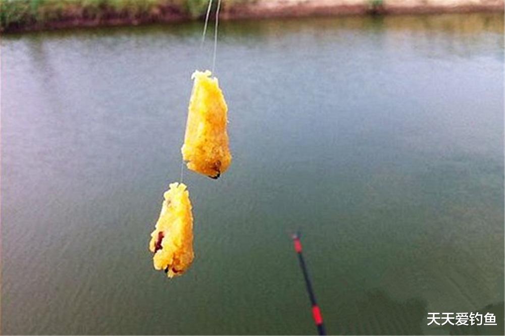红薯|晚春野钓，几款自制红薯饵料，小鱼不沾通杀鲤草青