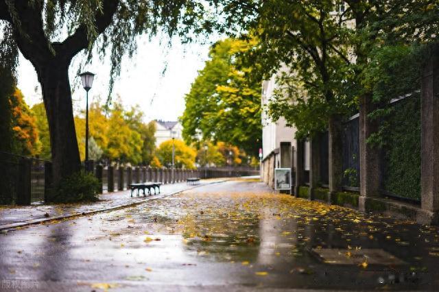 这个超猛的补阳经方，大补一身阳气，扶阳起痿，越虚效果越明显