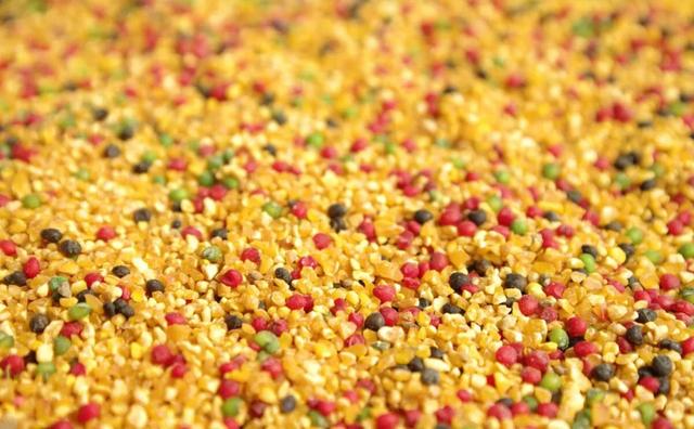 鲫鱼|野钓:鲫鱼的集中位置如何找？钓它需要注意什么？用什么饵钓？