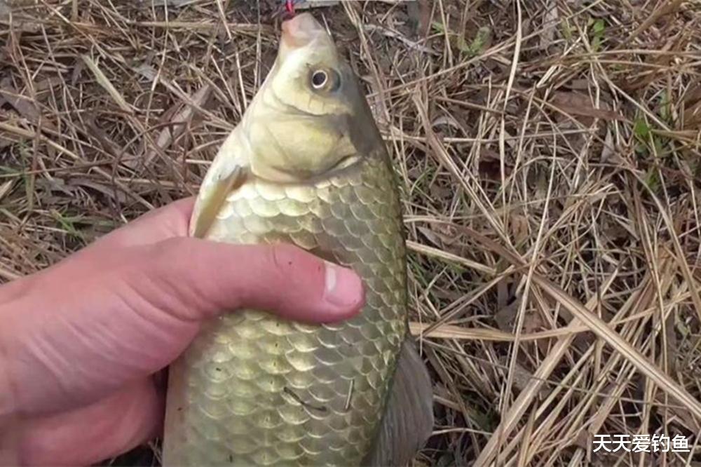 数九寒冬野钓,钓法一定要变通,这3种方法效果不错