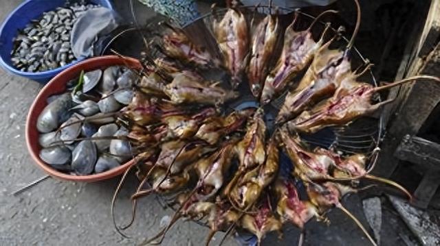 |躲过了中国人的筷子,却被越南人当做美食?越南人为啥爱吃鼠肉?