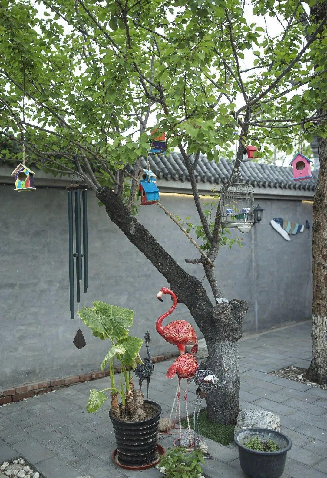 张颂文|张颂文独居14年“农家院”被曝！摆满废品满地落叶：这才是真面目