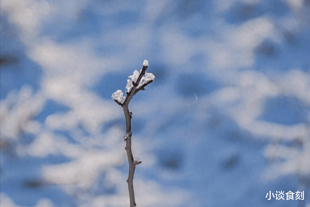 |“十六丑见丑，三事不可做”，明日腊月十六，哪3事？有啥讲究？