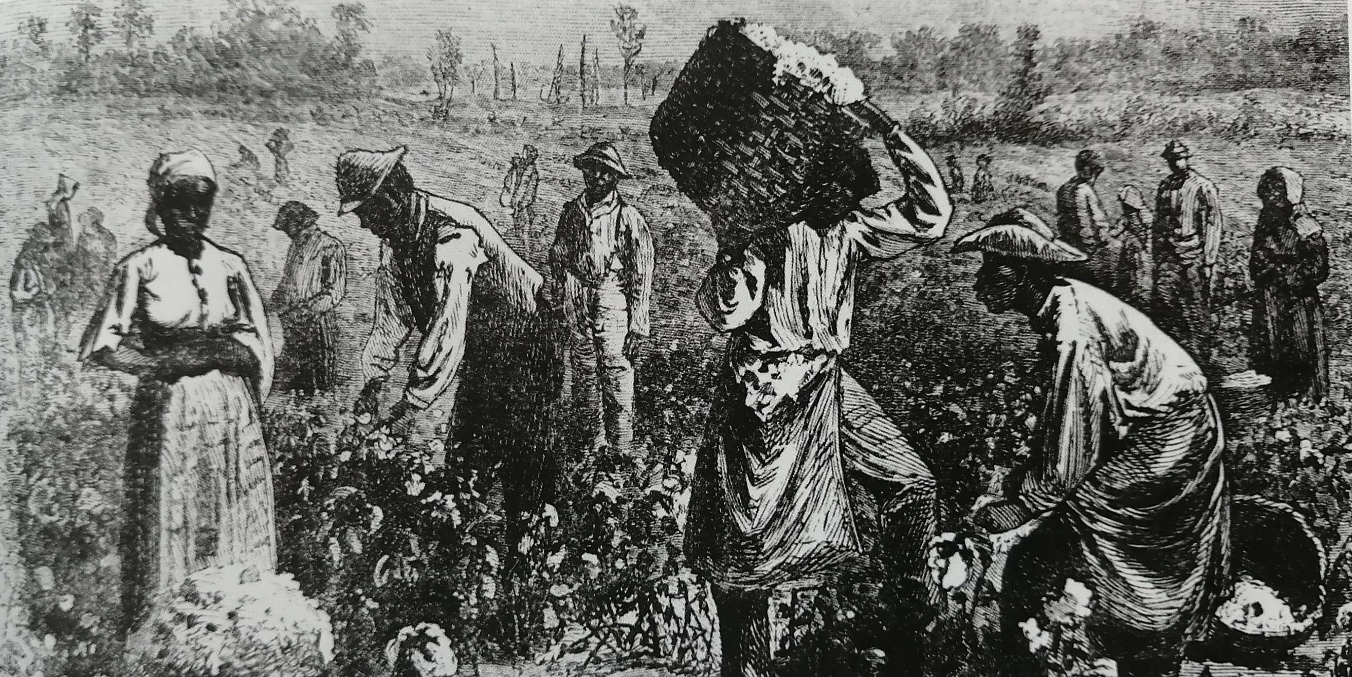 厄立特里亚独立战争是该国历史上一场具有重大意义的战争,这场战争的