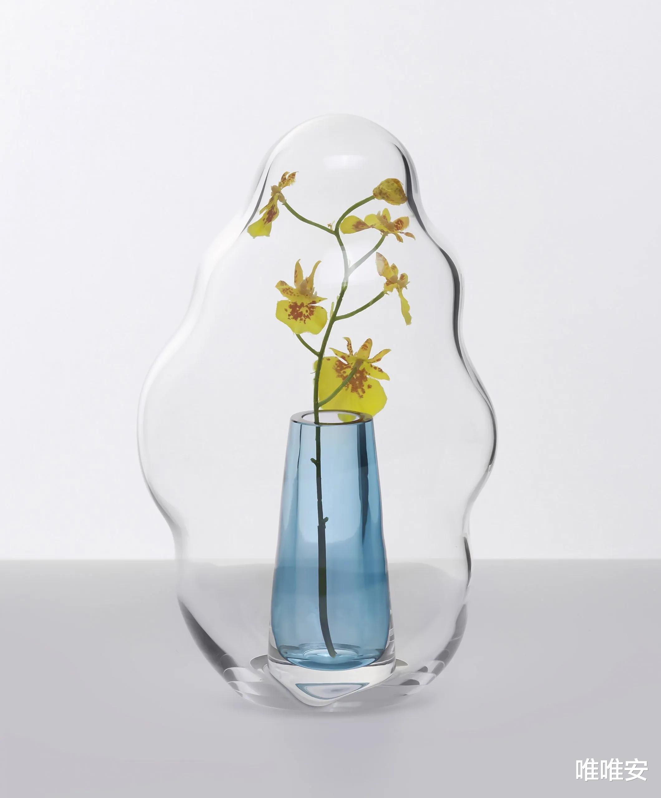 野生动物|人到中年,面对以下三种情况,请收起你的善良,学会心狠