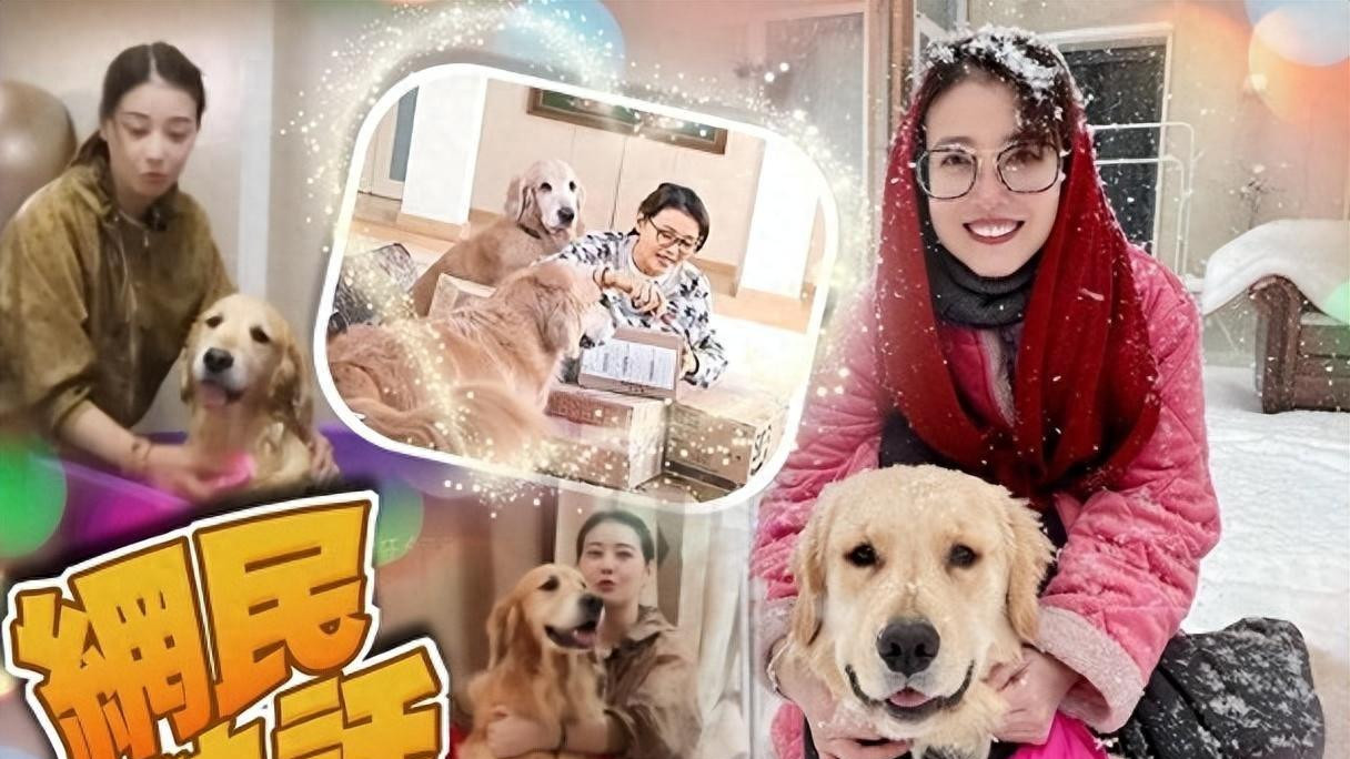 李勤勤回应收养周海媚爱犬：两人交情并不深，公开收养细节惹泪目