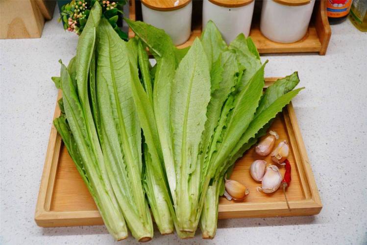 减脂|再贵也要吃，它被称为“凤尾菜”，清火又补钙，清热利尿身体好