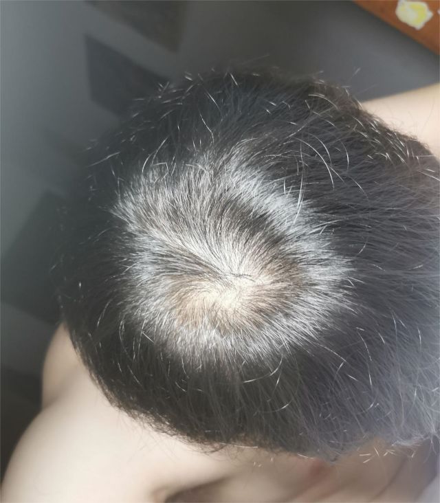 文化资讯(主打网)