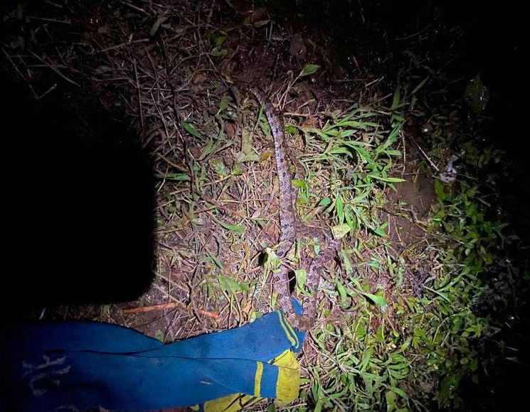 仲夏时节,不适合夜钓的6种天气,钓友们要谨慎出行!