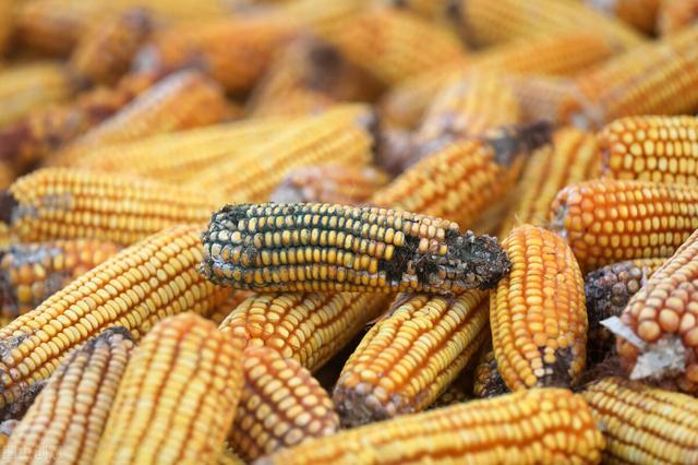 肝脏|肝脏硬化了,身体会有什么表现?肝不好,最怕你做这5件事