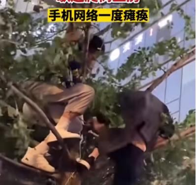 喧闹城市中的隐者，低调的音乐巨星许巍