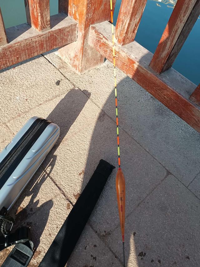 钓鱼|天气晴朗心情喜悦，河畔垂纶鲫妹连杆