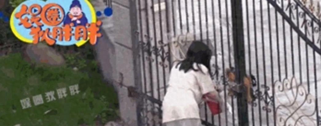 大瓜?!姐弟恋实锤,女方已经怀孕了,在别墅养胎?!