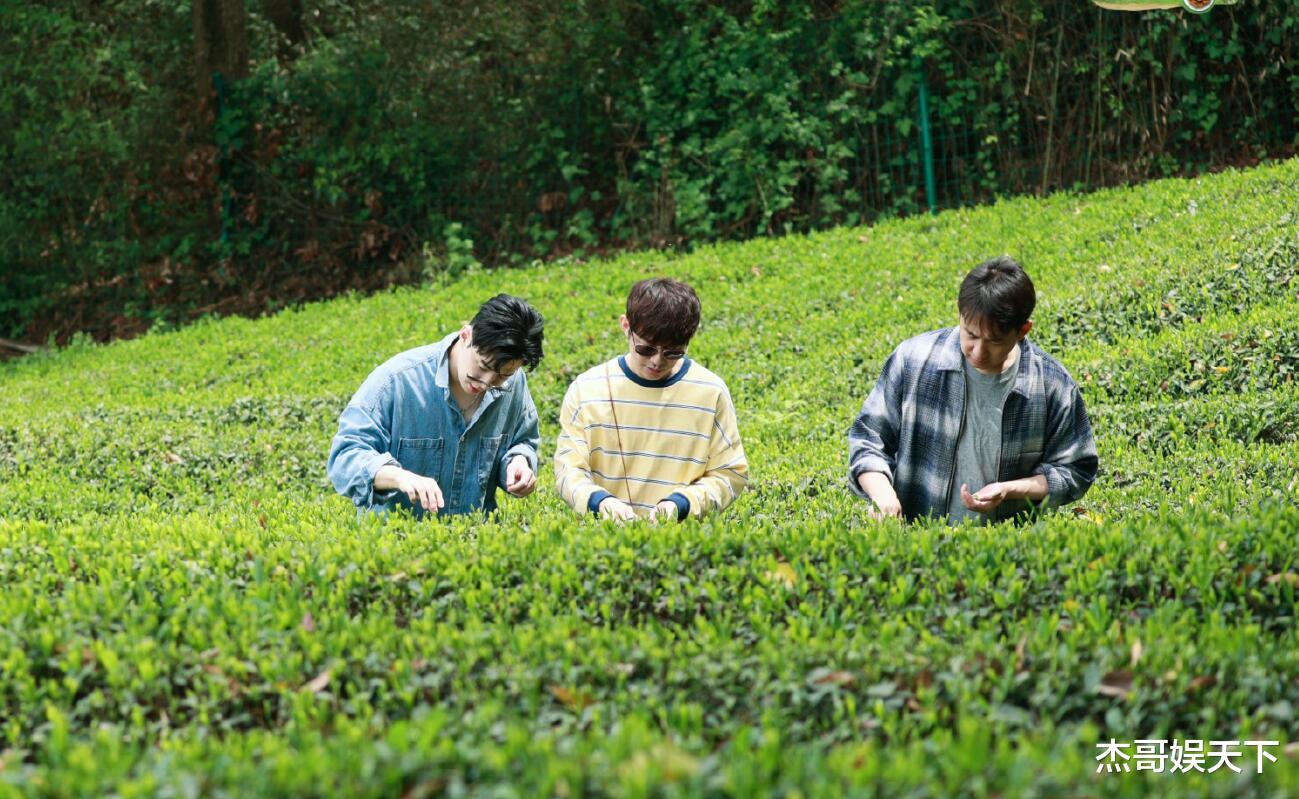 黄磊|大华回归！可惜已经变味儿了