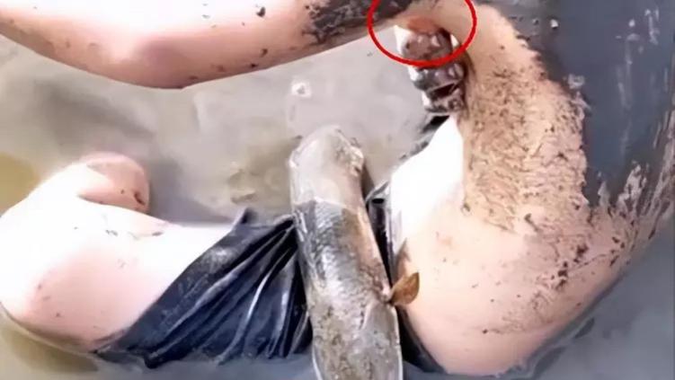 当心！广东水库惊现神秘鱼种，外形酷似大头鱼，钓鱼人惨遭咬伤