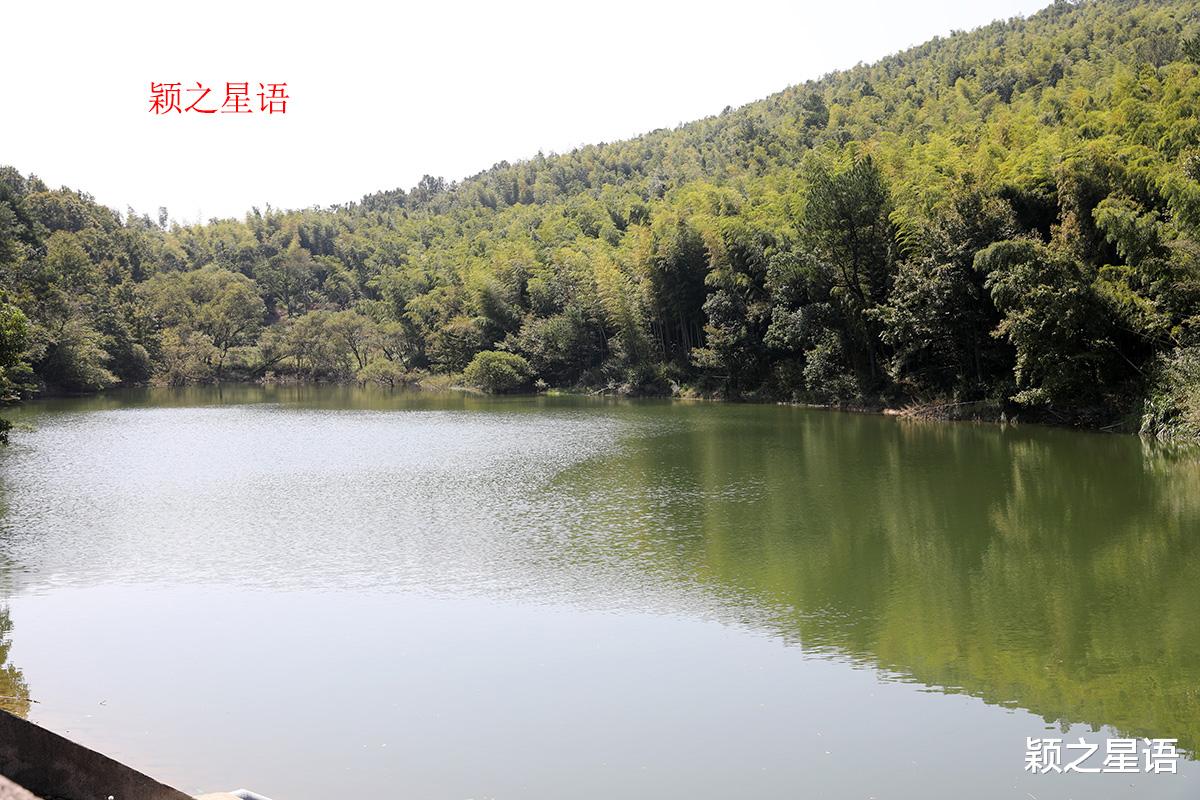 宁波|龙鹫登山步道,适合为了健身而走路