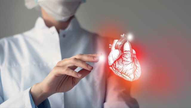 他汀立新功了?研究发现:3种他汀,或许能精准清除血管内皮衰老细胞