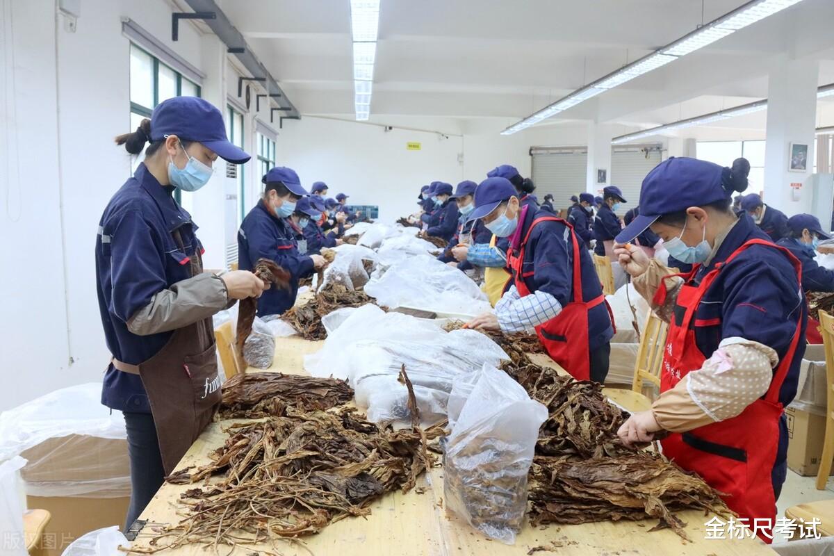 今年烟草招聘要来了,有五险一金,3类考生优先!