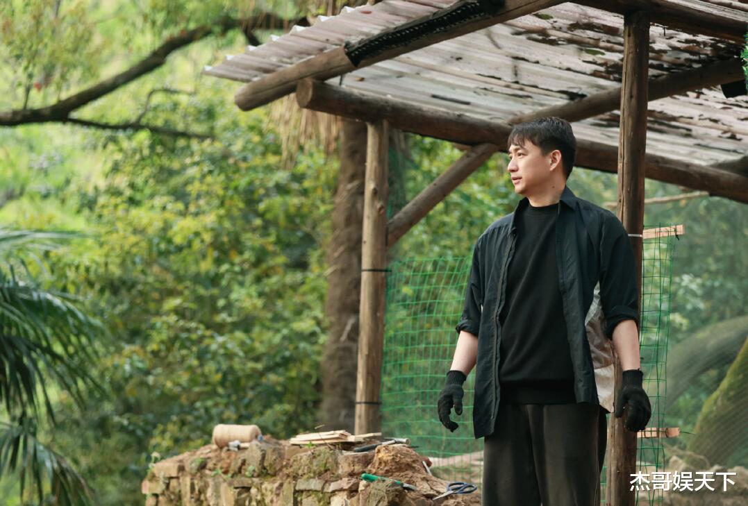 黄磊|大华回归！可惜已经变味儿了