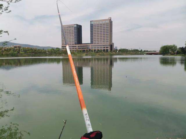 鲤鱼|野钓鲤鱼钩饵最好的状态，别把简单的事情搞复杂，这样调就行！