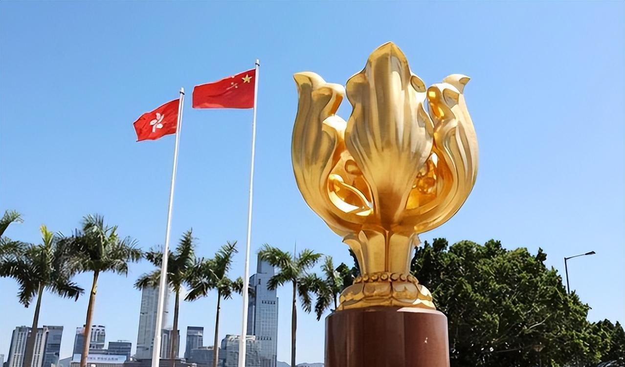 “港独”明星何韵诗，叫嚣联合国将中国除名！如今下场真是大快人心！