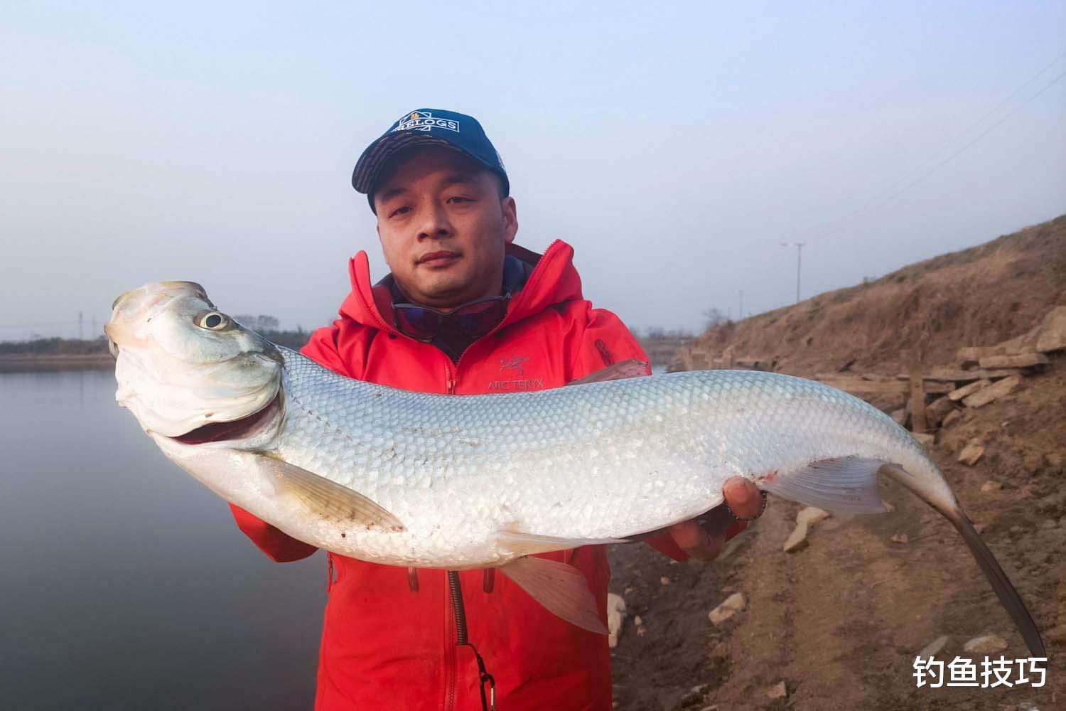 泥鳅|钓翘嘴时把隔壁打闭口的三个方法，百试百灵的钓翘嘴秘诀