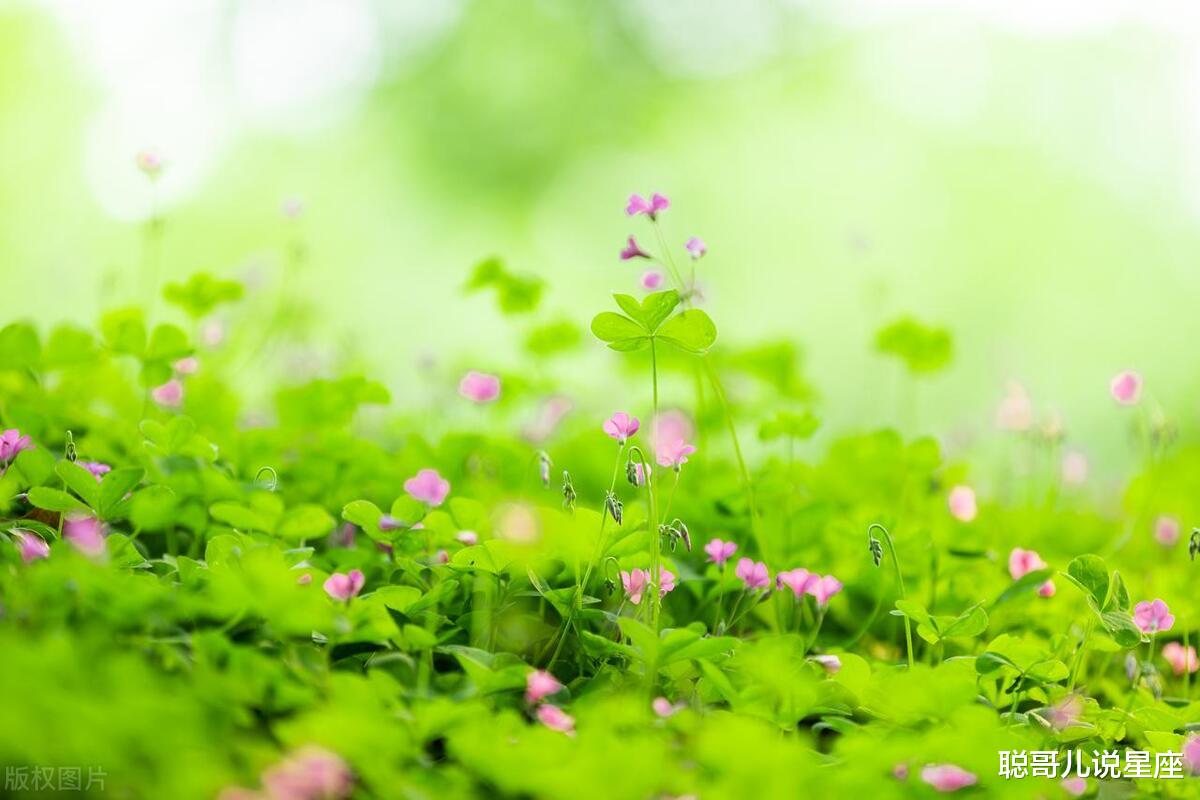 独立自主,职场风云人物的三个星座