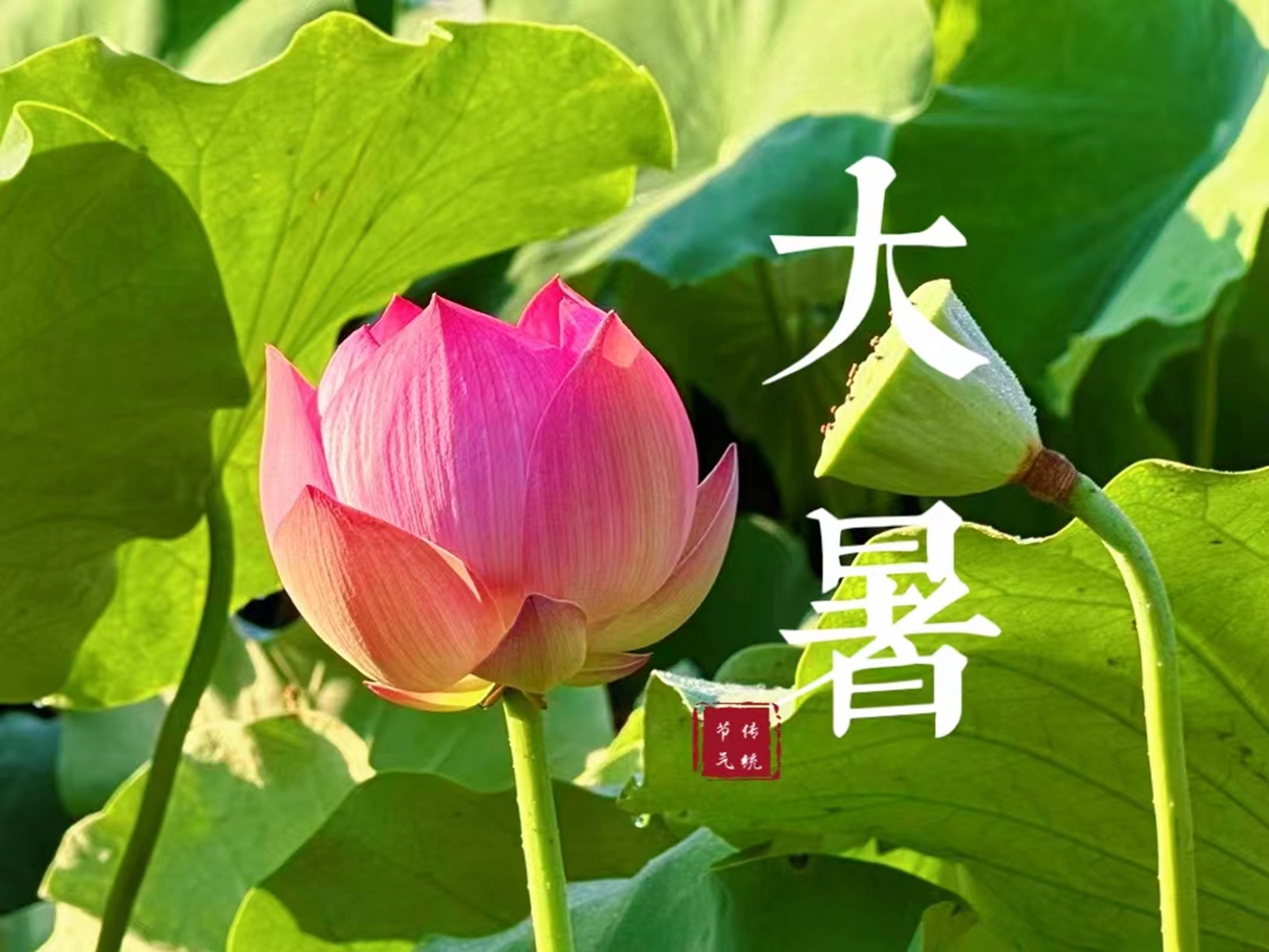 美食教程|7月23日大暑节气，老传统要吃这5样，老传统别丢！