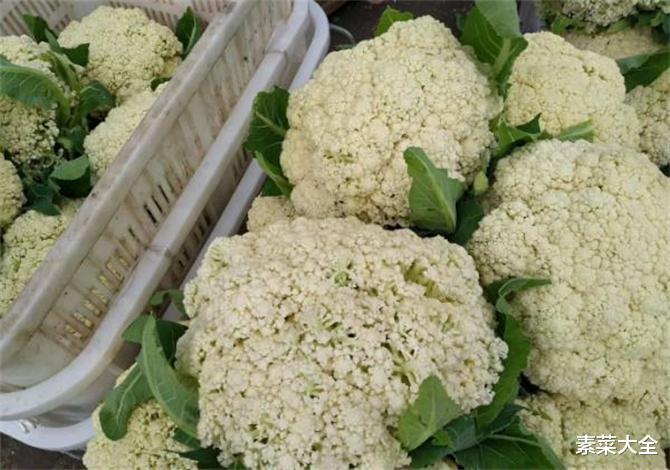 |为什么说花菜尽量少吃?爱吃花菜的要留意,散花和紧花有啥区别?