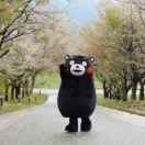 雁兰看育儿