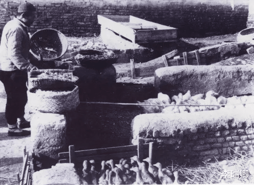 北京|从烤鸭之王到跌落神坛,全聚德连续三年亏损!它究竟犯了什么错?