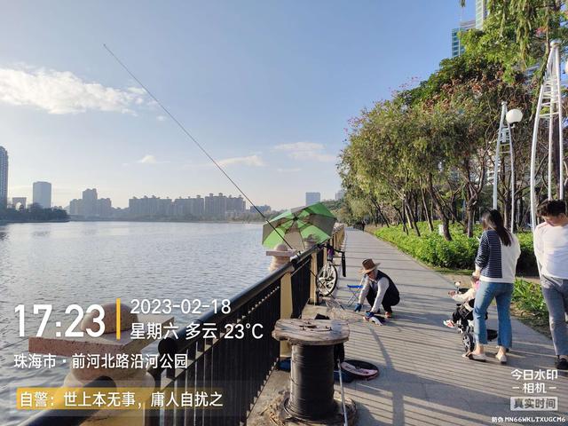 鳊鱼|今天是个好日子,用小钩鱼儿多多上,换大钩连竿大麦鲮