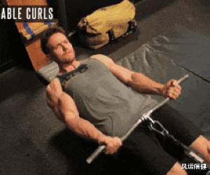 如何塑造肱二头肌肌峰?