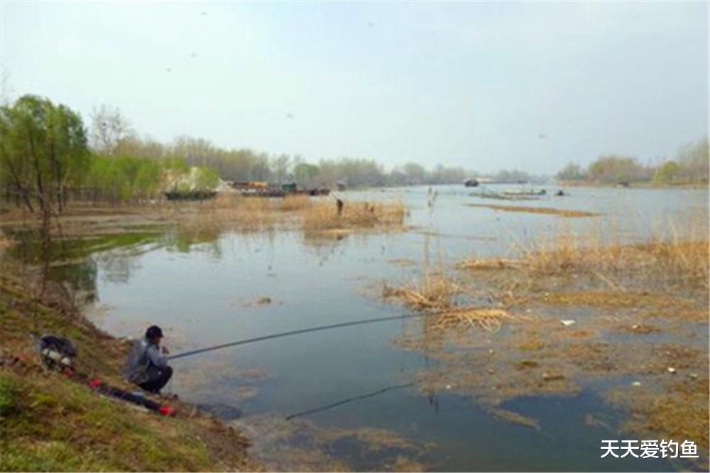 鲫鱼|春季野钓鲫鱼,6种钓位随便选,都能轻松钓爆护