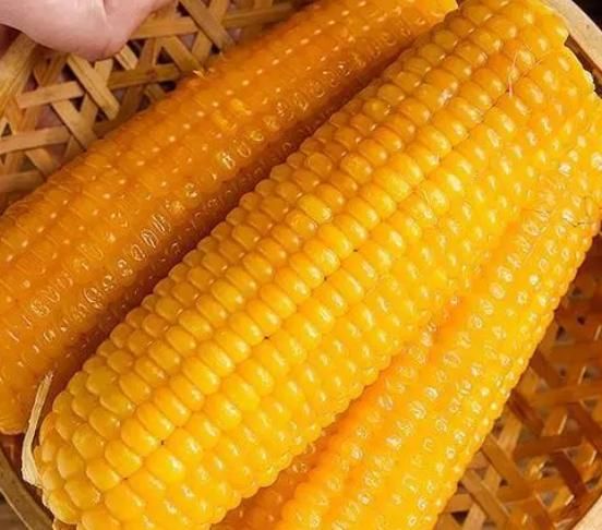 玉米是胃炎的“加速剂”吗?医生:不想胃部癌变,这4物嘴下留情