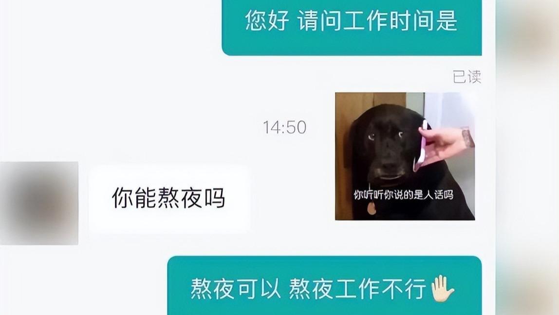 |面对HR无理招聘，优秀的大学生们直接开怼，整顿职场还是得靠00后