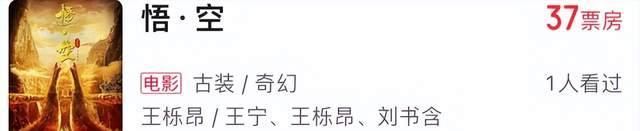 何广智|演过爆款电视剧，登上过春晚舞台，王宁的电影梦为何难实现？