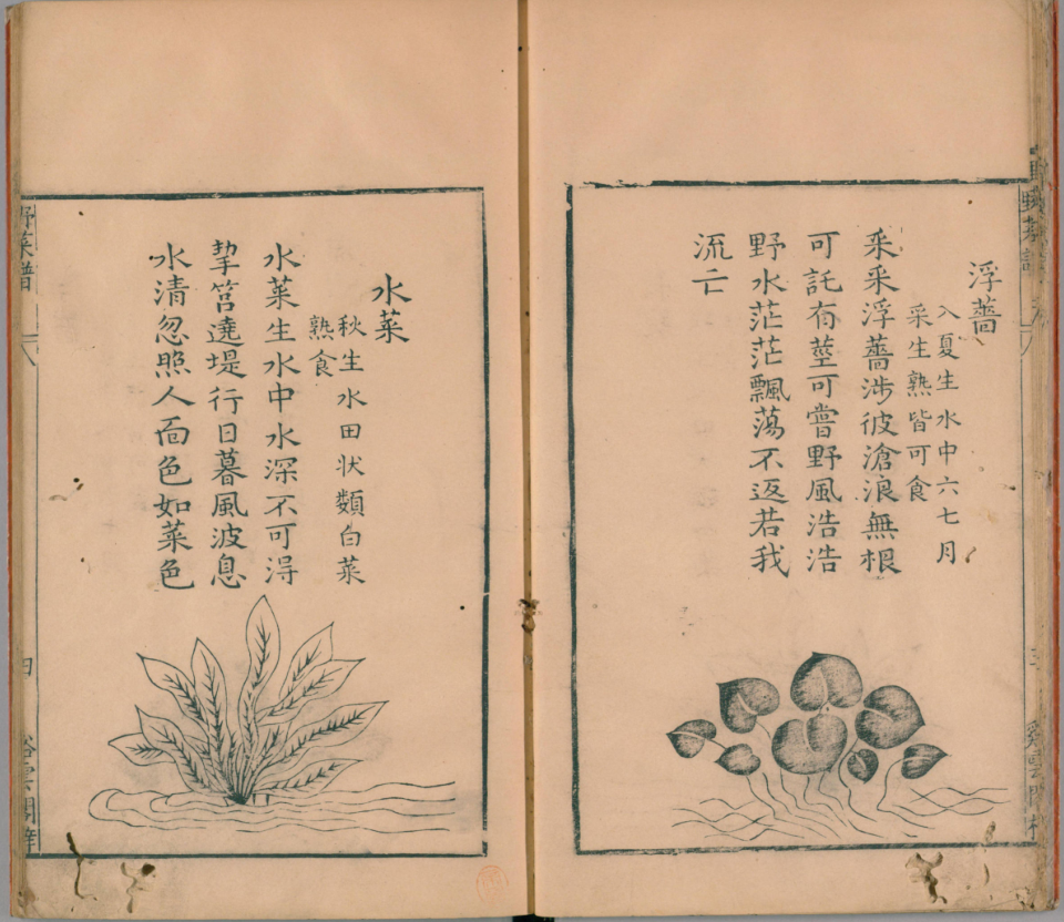 |古籍善本: 野菜谱.明.王磐撰.万历14年跋.1586年