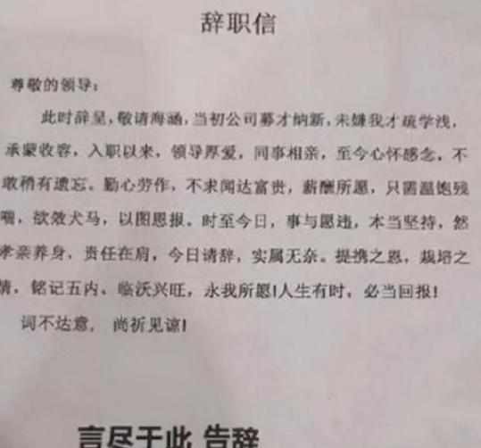 全职妈妈|“有礼貌,但不多”,00后反骨式辞职信走红,老板看后怀疑人生