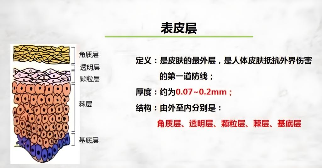 揭秘护肤界谎言:想要皮肤好,就要多补水?