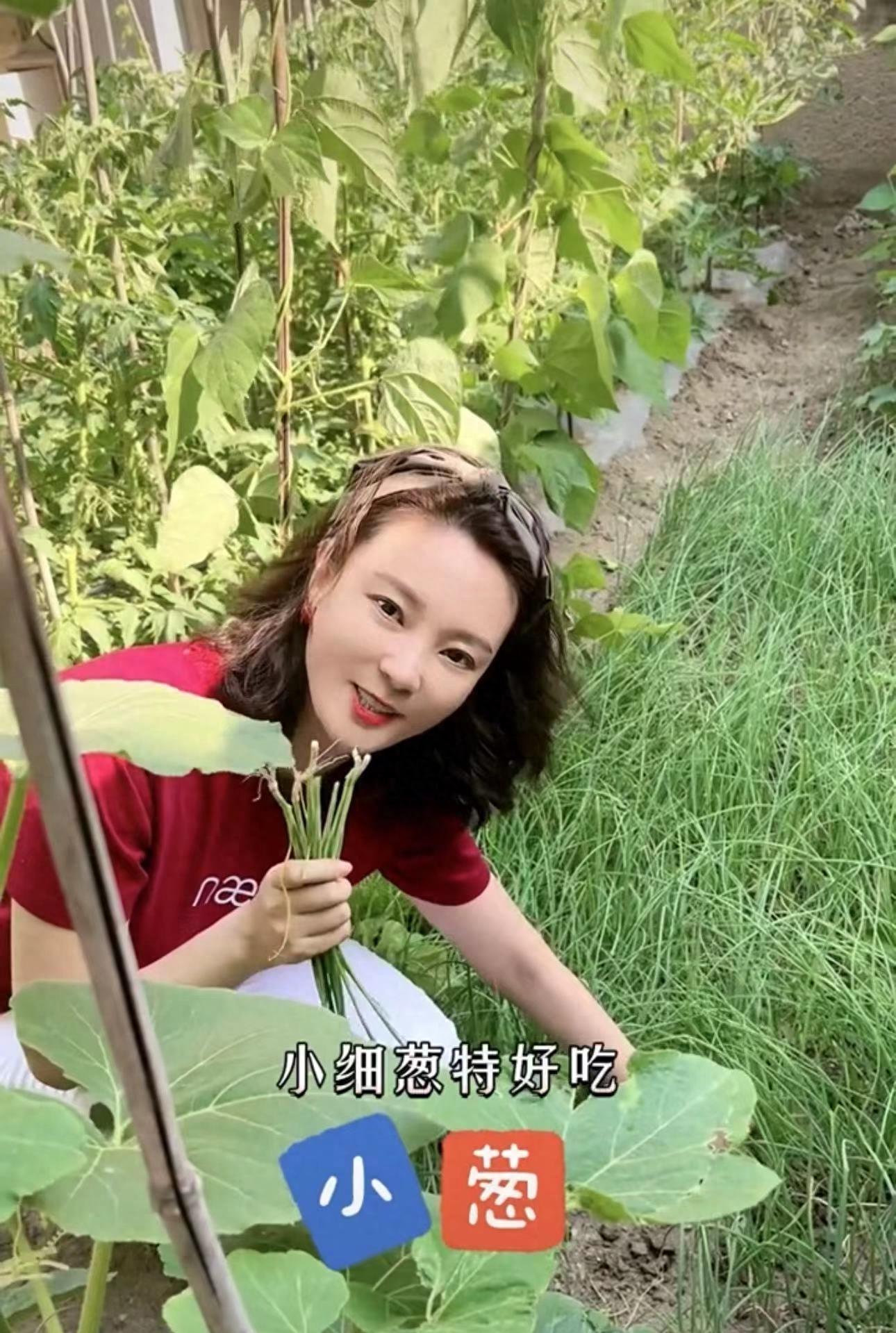 央视刘芳菲回东北老家！穿百元衣下地摘菜，白皙貌美被催婚生子