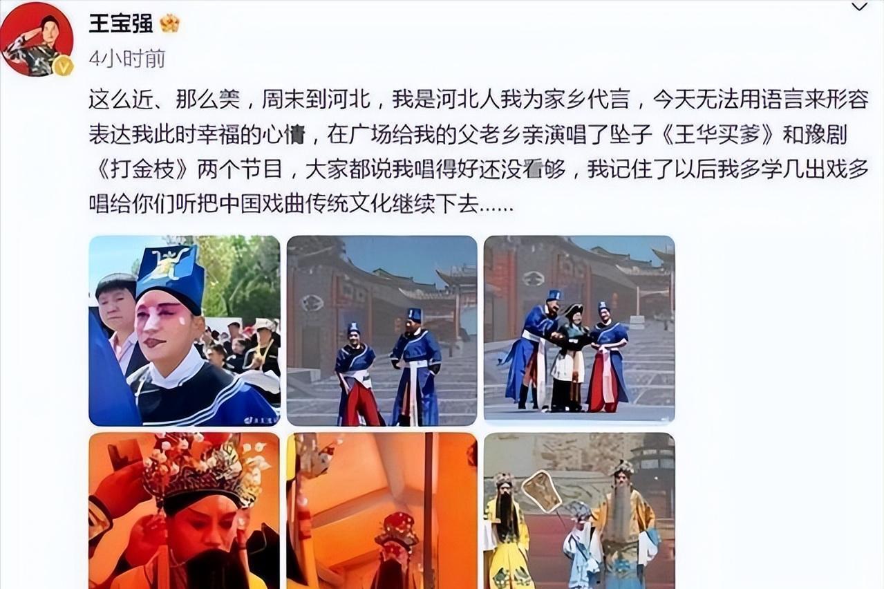 陈紫函|倒霉的王宝强,终究还是栽进了“女人坑”