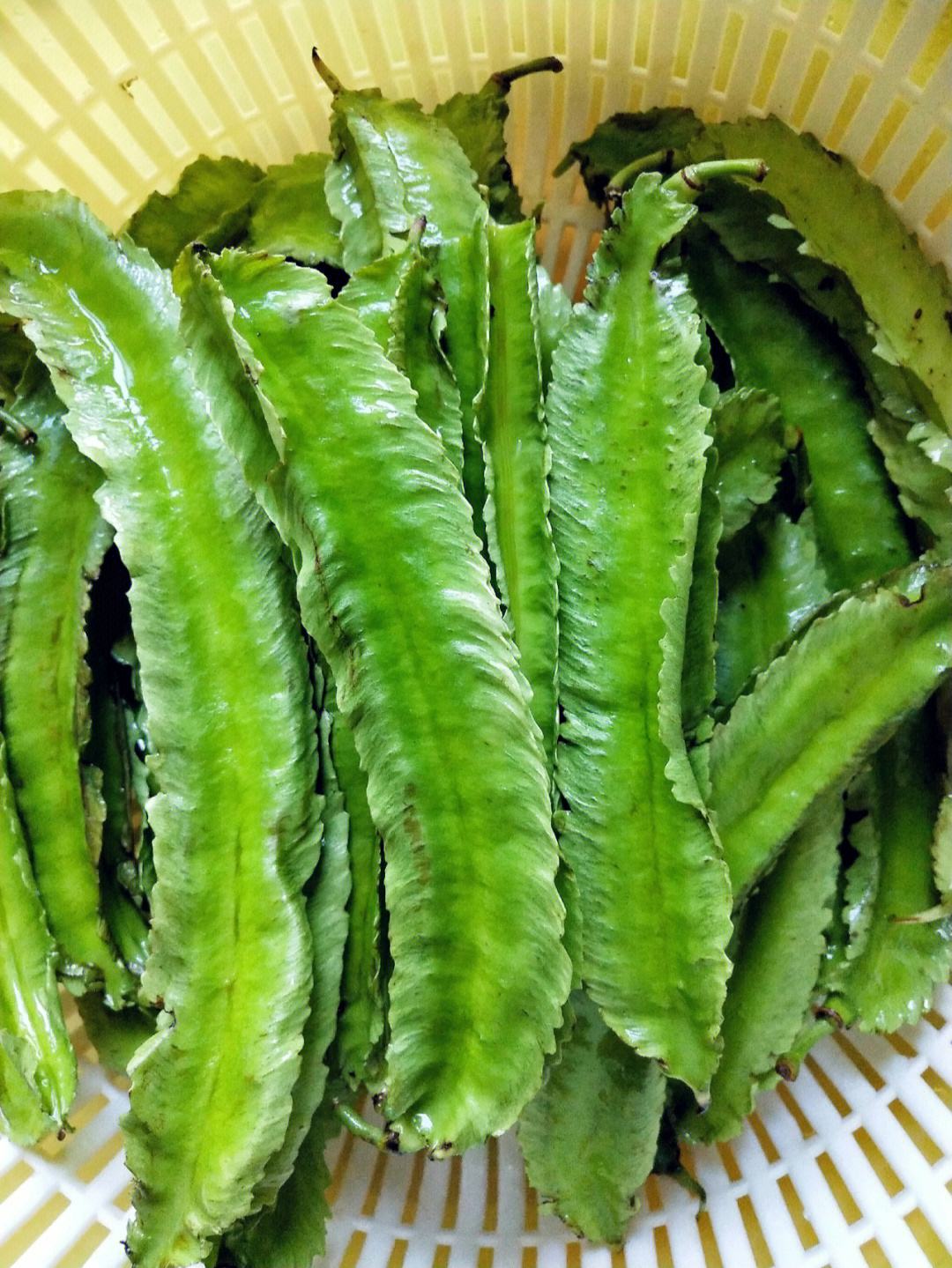 补钙|它是天然“泻药”，两天吃一盘，补钙刮油小蛮腰回来了，越吃越瘦