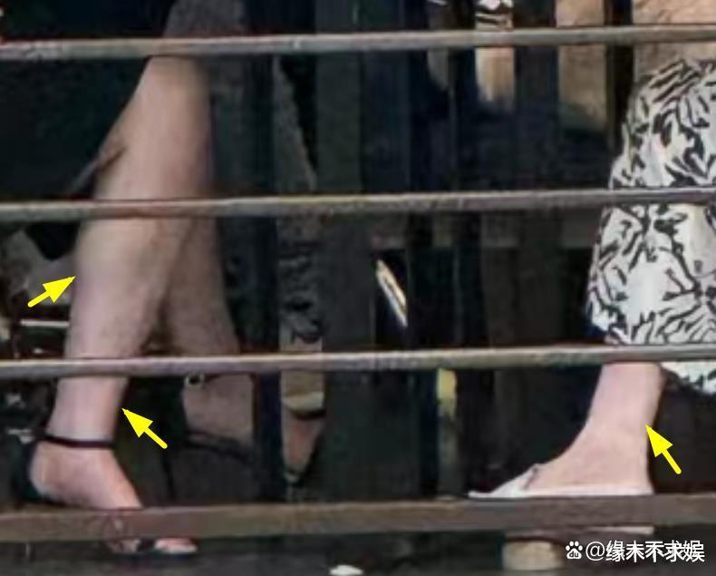 刘亦菲《玫瑰之约》新路透！小腿胖出腿肚子，“妈妈”气质不输她