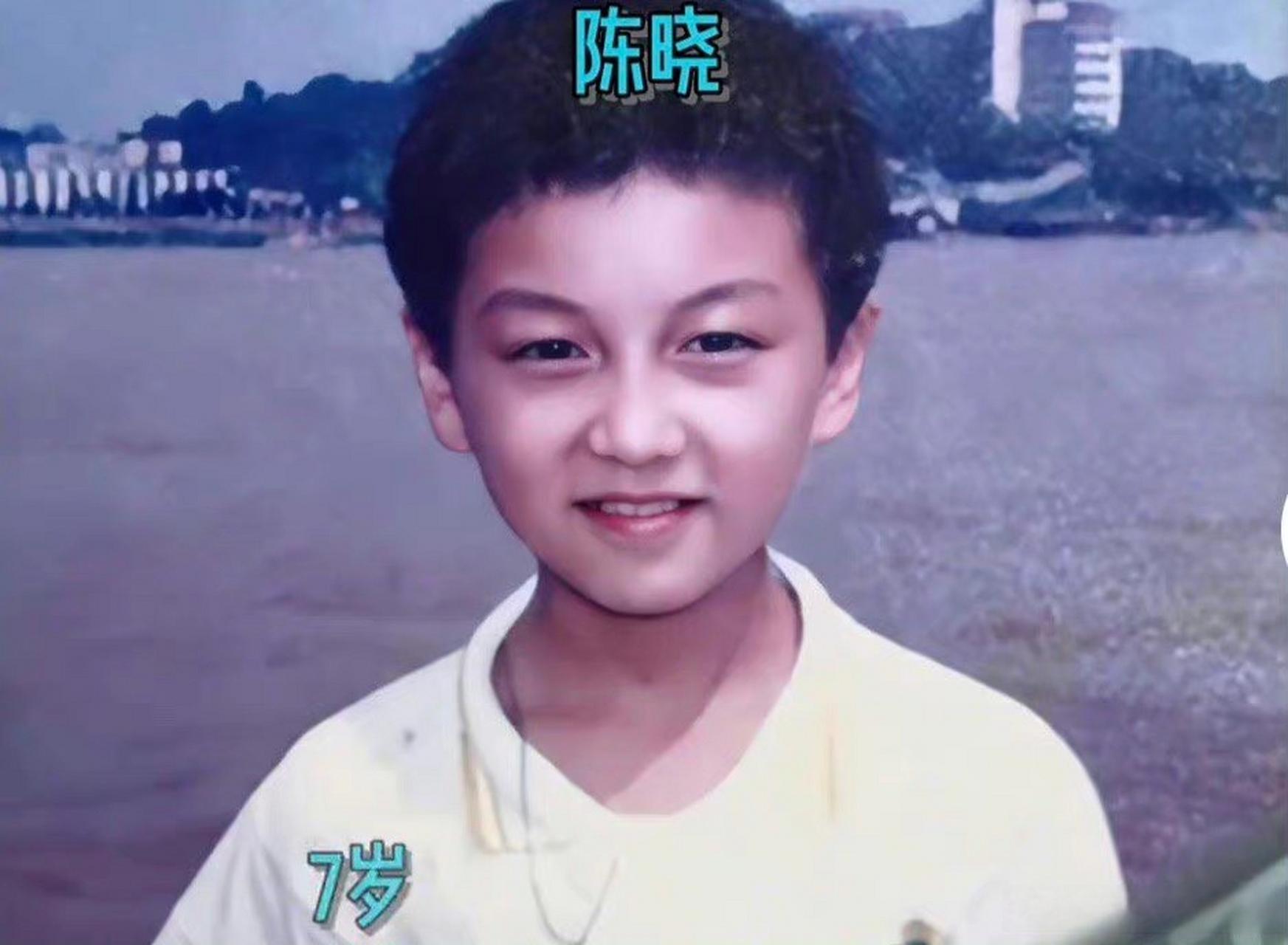 陈妍希|陈妍希带娃看梅西比赛,6岁儿子被路人曝光高清照,比陈晓更帅