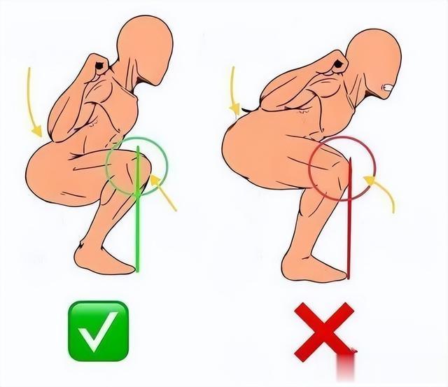 经常练深蹲,大腿小腿会练粗壮吗?如何正确深蹲?