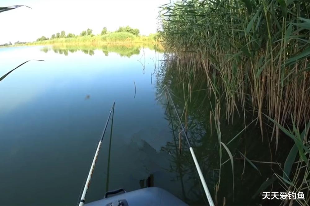 夏季钓鲫鱼,钓位不能胡乱选,大鲫鱼就在2种位置